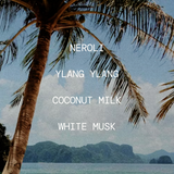 Out of Office Functional Clothing Spray - Travel Size